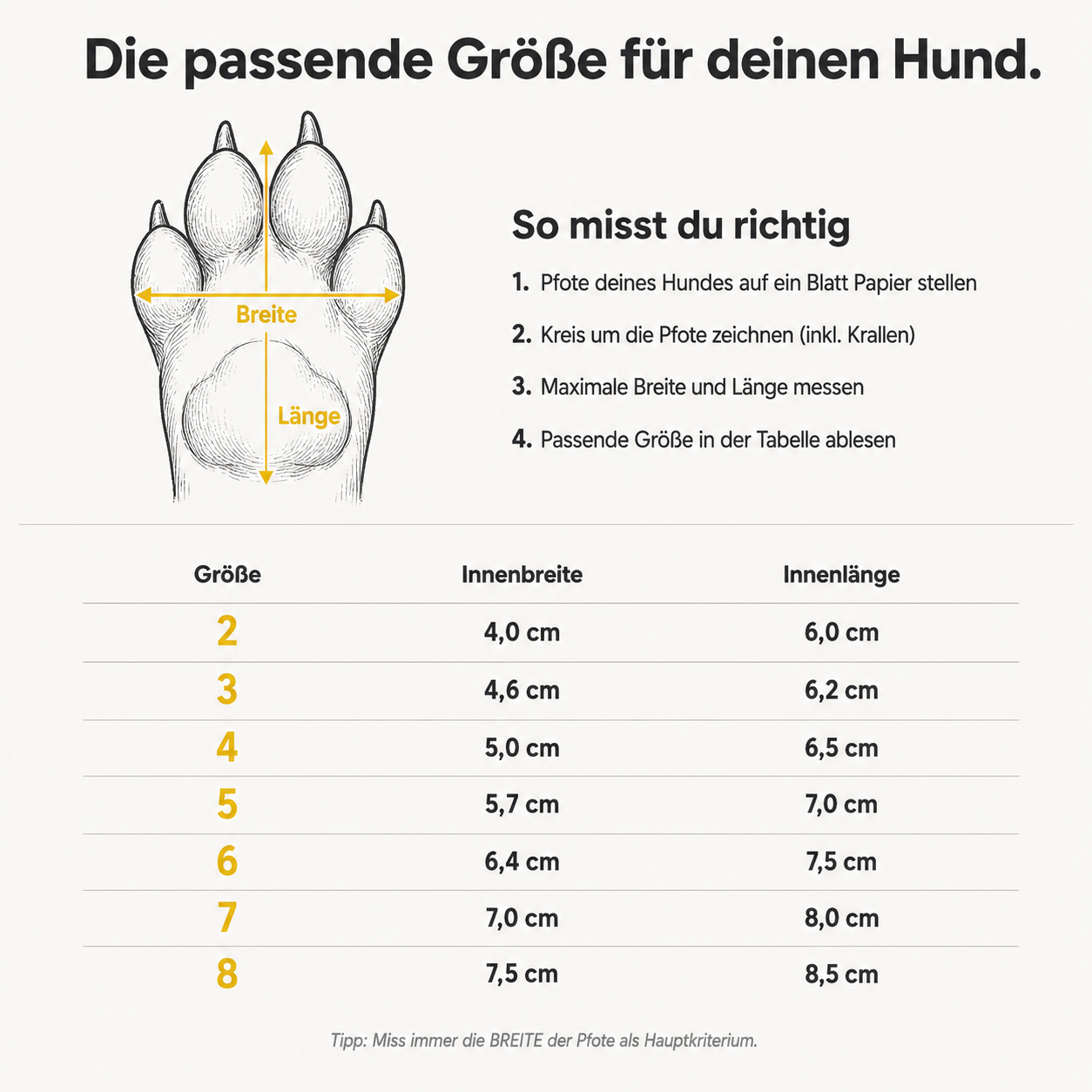 PawBoots – Wasserdichte Hundeschuhe für jede Jahreszeit