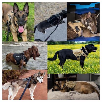 TacPaw – Tactical Dog Harness for Active Dogs