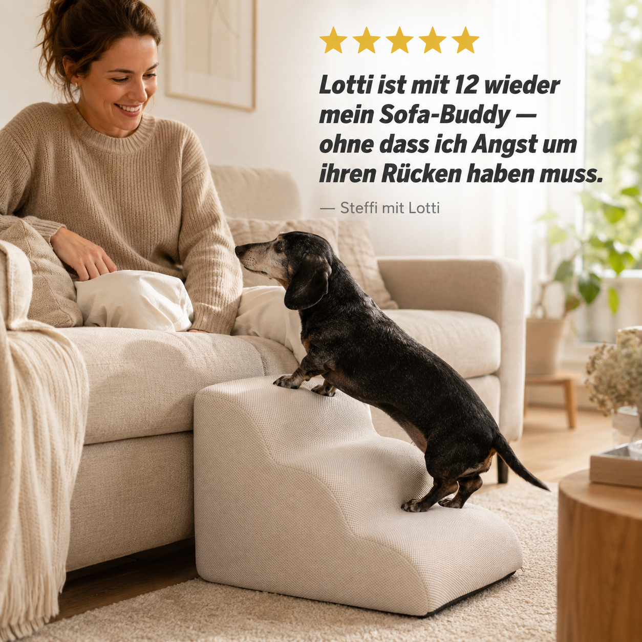 StepPaw – Sanfte Treppenrampe für Hunde & Katzen