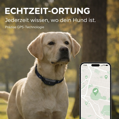 TrackPaw – GPS-Tracker für Hunde & Katzen