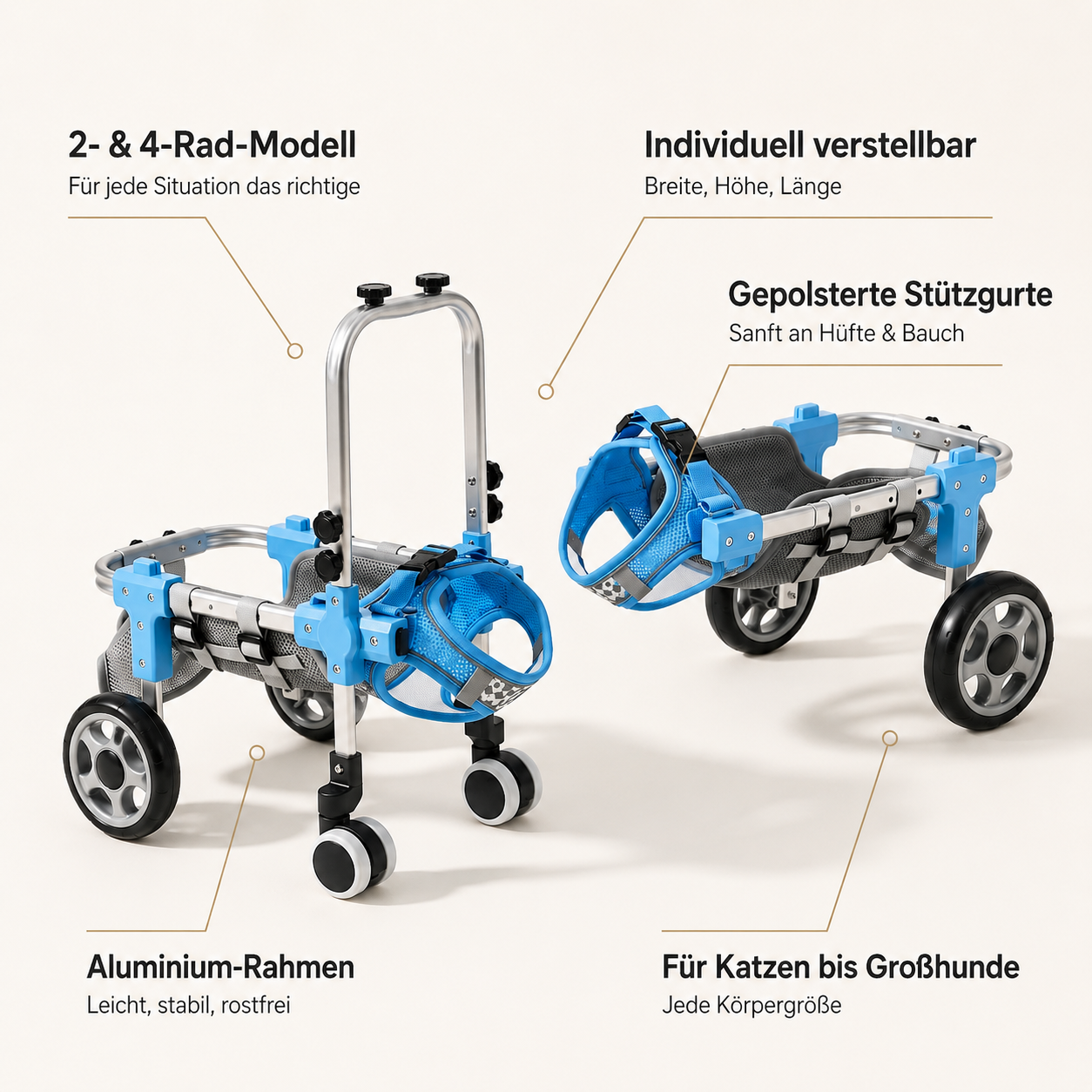 MobilePaw – Rollstuhl für Hunde und Katzen