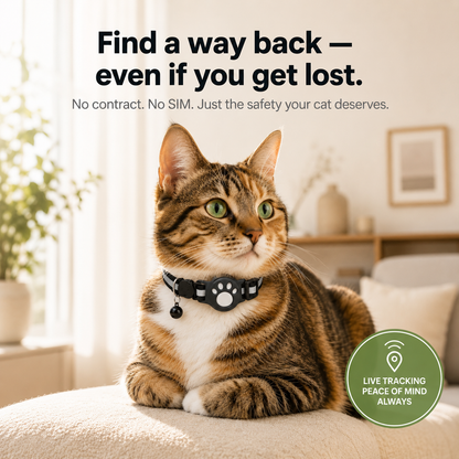 FindPaw – Smart Tracker Collar for Cats & Small Dogs