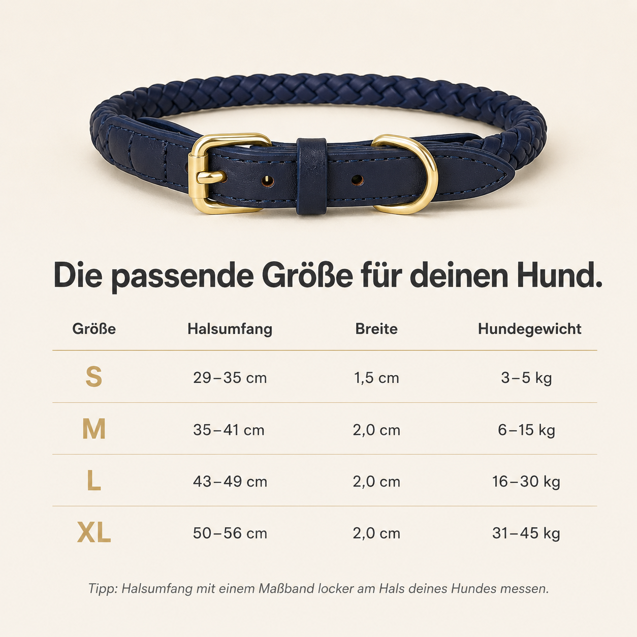 StylePaw – Geflochtenes Leder-Halsband für Hunde