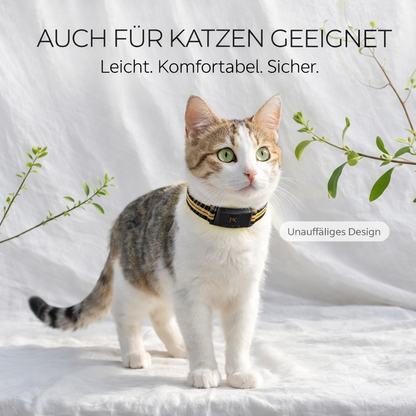 TrackPaw – GPS-Tracker für Hunde & Katzen