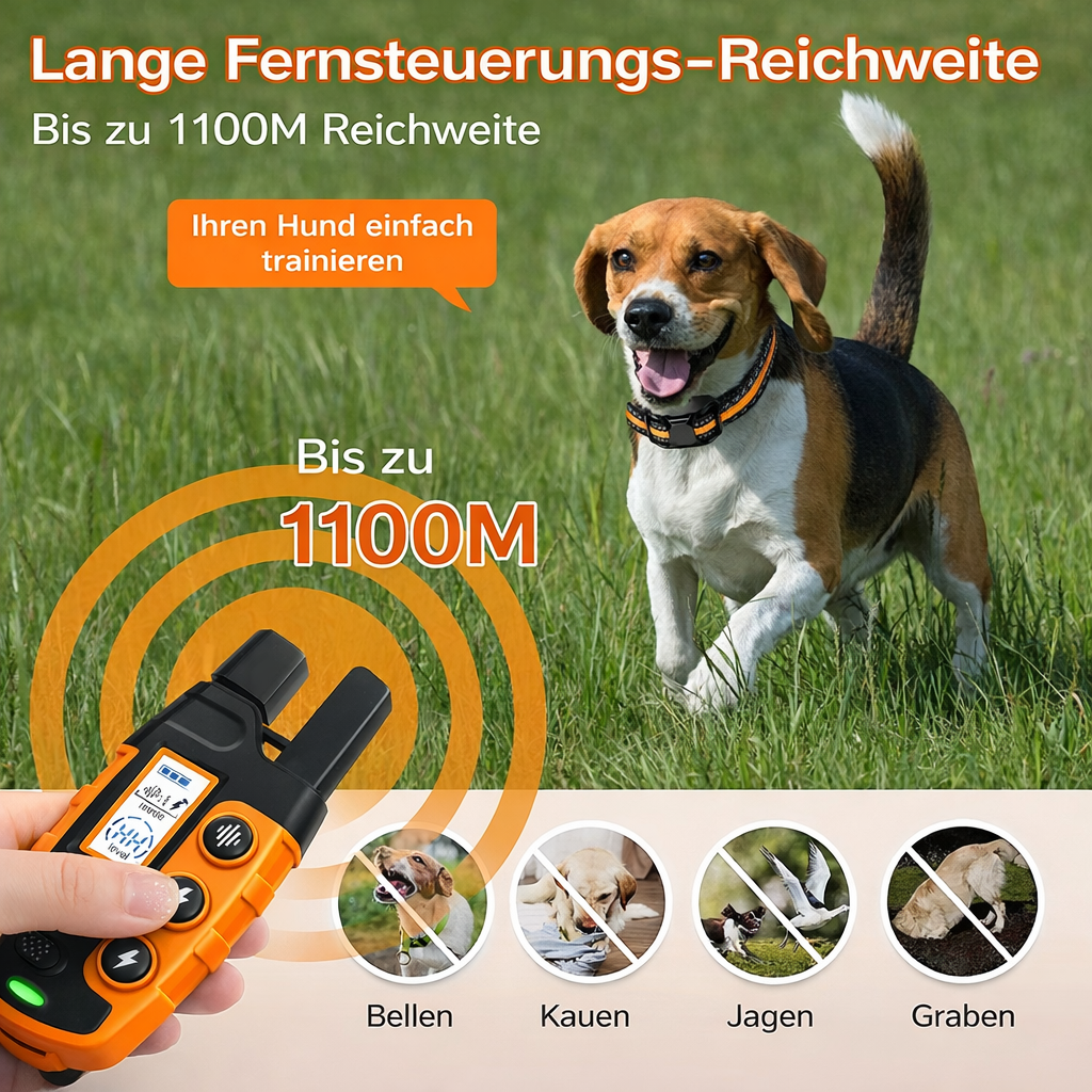 TrainPaw – Elektrisches Trainings-Halsband mit Fernbedienung