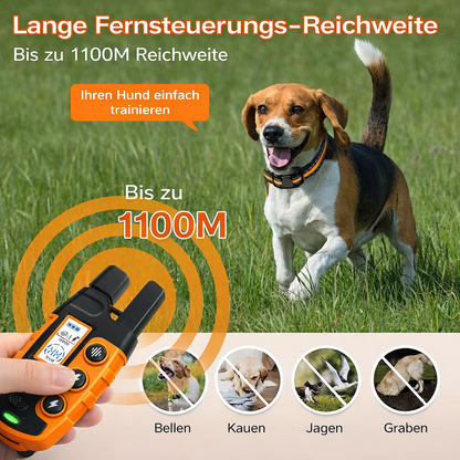 TrainPaw – Elektrisches Trainings-Halsband mit Fernbedienung