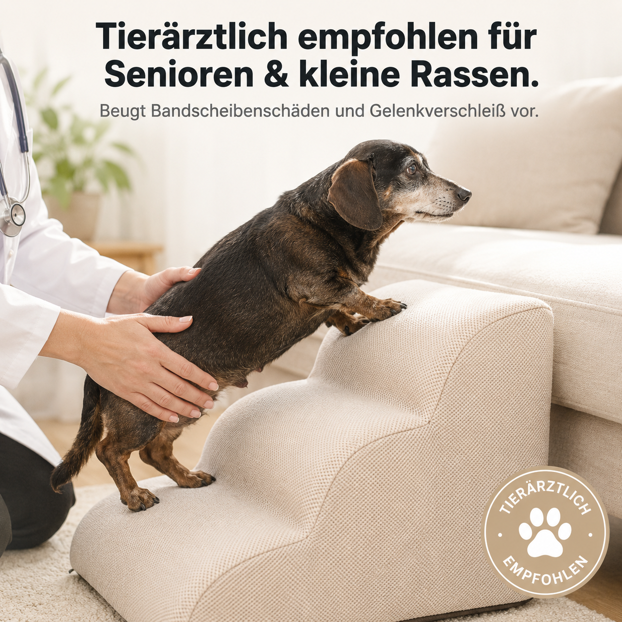 StepPaw – Sanfte Treppenrampe für Hunde & Katzen