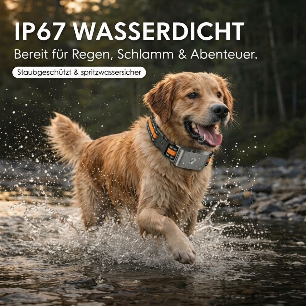 TrackPaw – GPS-Tracker für Hunde & Katzen