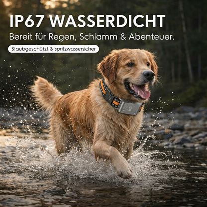 TrackPaw – GPS-Tracker für Hunde & Katzen
