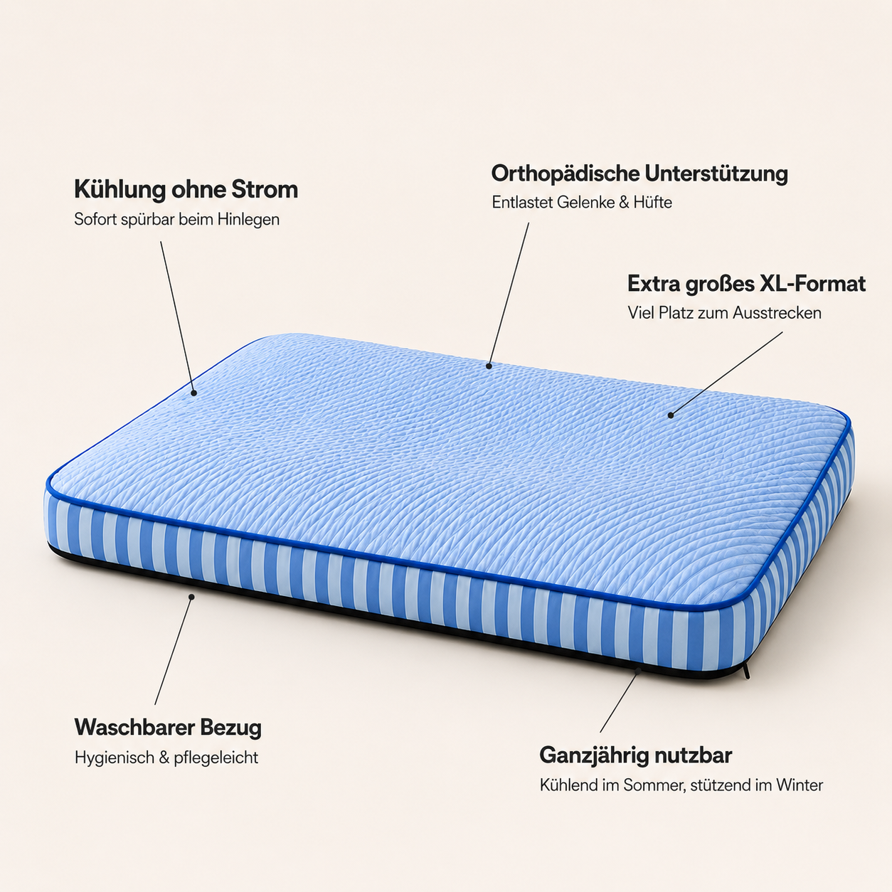 CoolPaw Ortho – Orthopädische Kühlmatte für Hunde