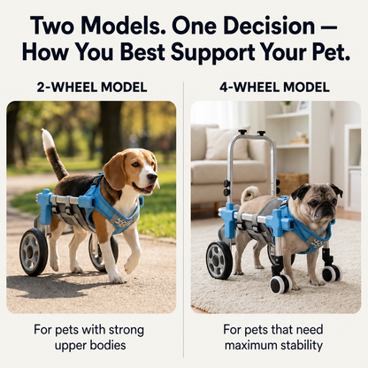 MobilePaw - Wheelchair for Dogs and Cats