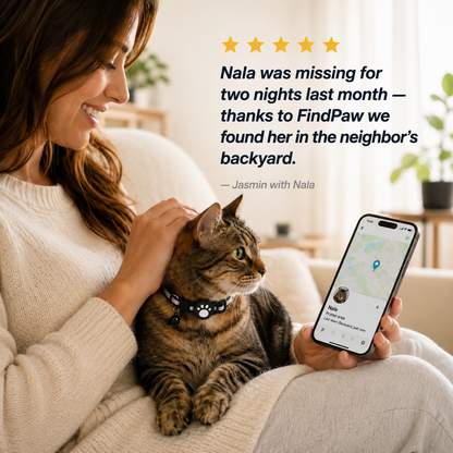 FindPaw – Smart Tracker Collar for Cats & Small Dogs