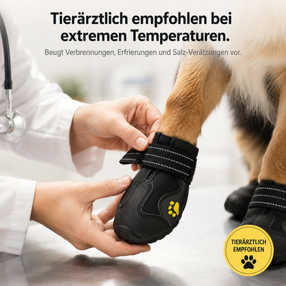 PawBoots – Wasserdichte Hundeschuhe für jede Jahreszeit