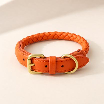 StylePaw – Geflochtenes Leder-Halsband für Hunde