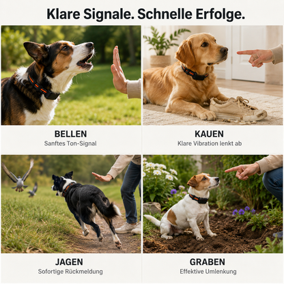 TrainPaw – Elektrisches Trainings-Halsband mit Fernbedienung