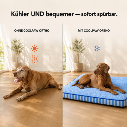 CoolPaw Ortho – Orthopädische Kühlmatte für Hunde