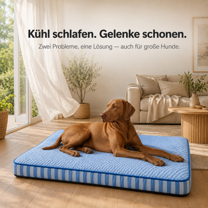 CoolPaw Ortho – Orthopädische Kühlmatte für Hunde