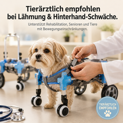 MobilePaw – Rollstuhl für Hunde und Katzen