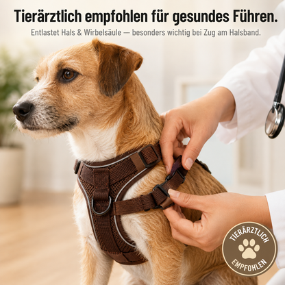 AirPaw – Atmungsaktives Hundegeschirr mit Leine
