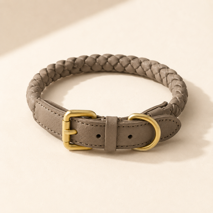 StylePaw – Geflochtenes Leder-Halsband für Hunde