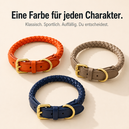 StylePaw – Geflochtenes Leder-Halsband für Hunde