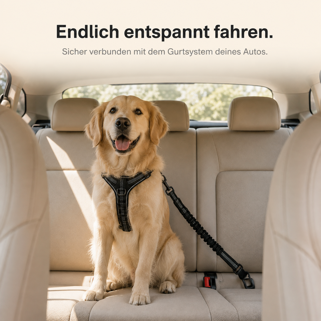SafeClip – Elastic Car Seat Belt for Dogs (2.5x72cm)