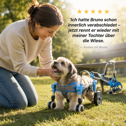 MobilePaw – Rollstuhl für Hunde und Katzen