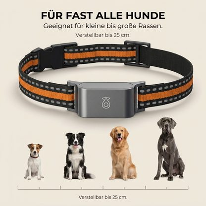 TrackPaw – GPS-Tracker für Hunde & Katzen