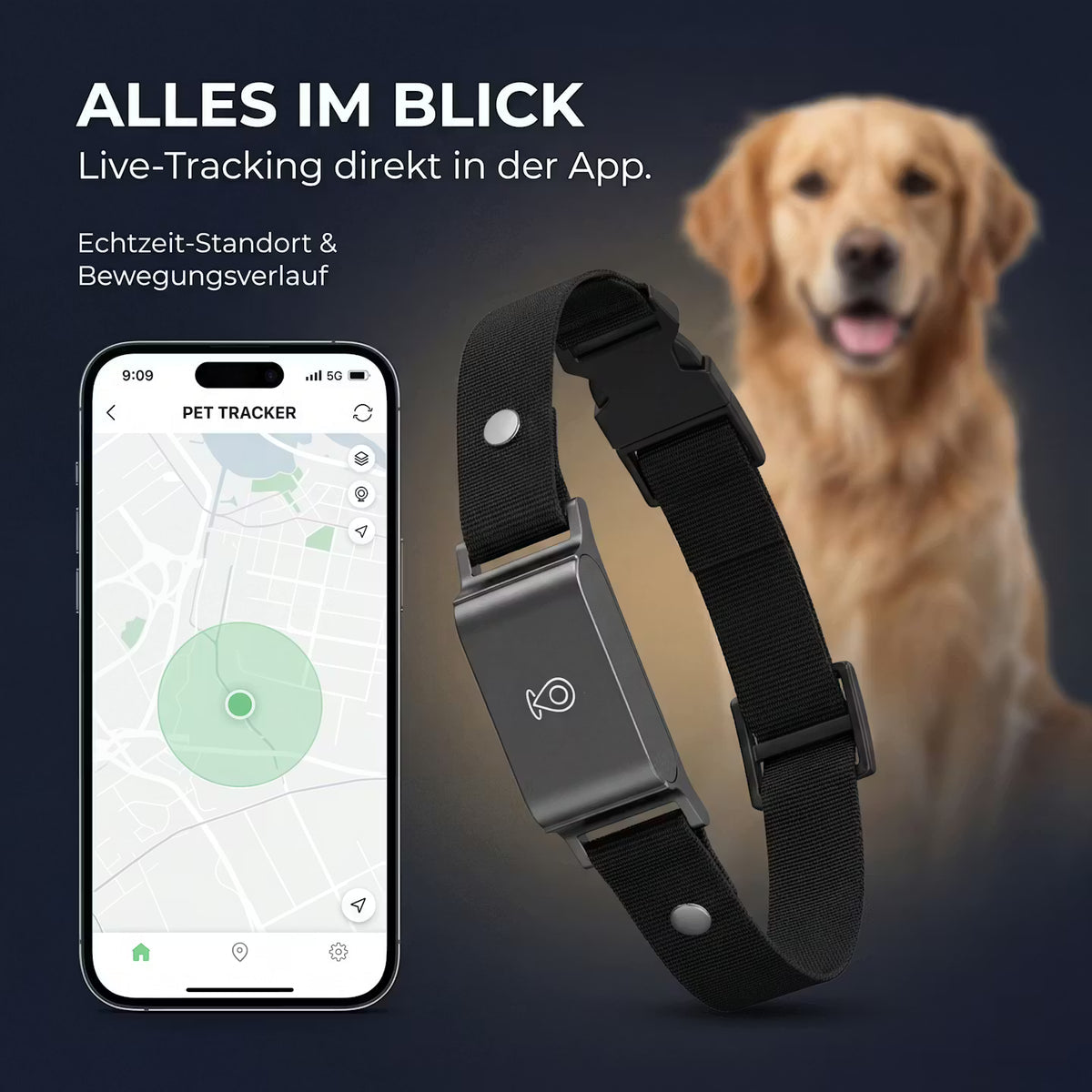 TrackPaw – GPS-Tracker für Hunde & Katzen