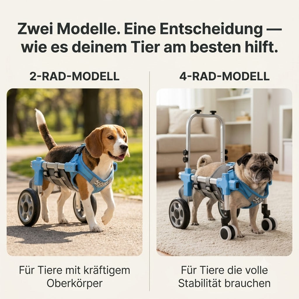 MobilePaw – Rollstuhl für Hunde und Katzen