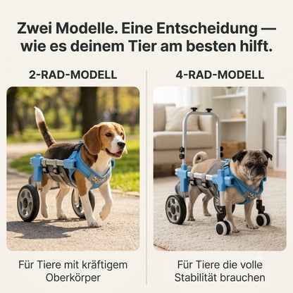 MobilePaw – Rollstuhl für Hunde und Katzen