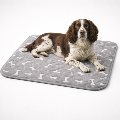 DryPaw – Waschbare Trainingsunterlage für Welpen & Hunde