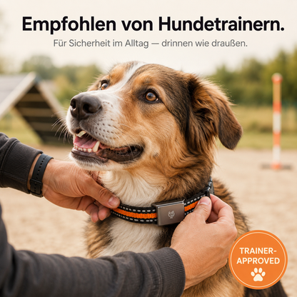 TrackPaw – GPS-Tracker für Hunde & Katzen