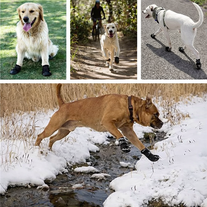 PawBoots – Wasserdichte Hundeschuhe für jede Jahreszeit