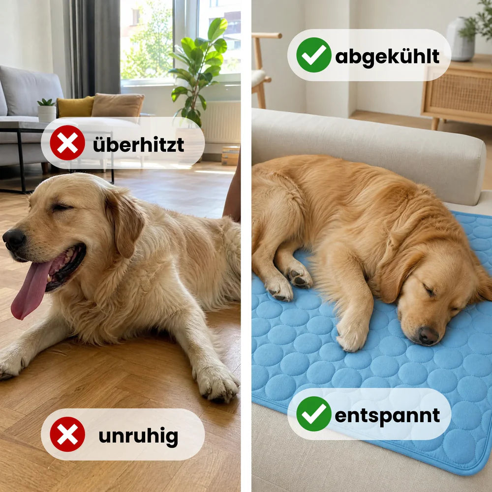 CoolPaw – Kühlmatte für Hunde & Katzen im Sommer