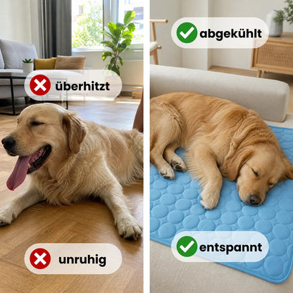 CoolPaw – Kühlmatte für Hunde & Katzen im Sommer