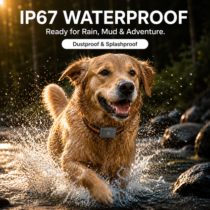 TrackPaw – GPS Tracker for Dogs & Cats